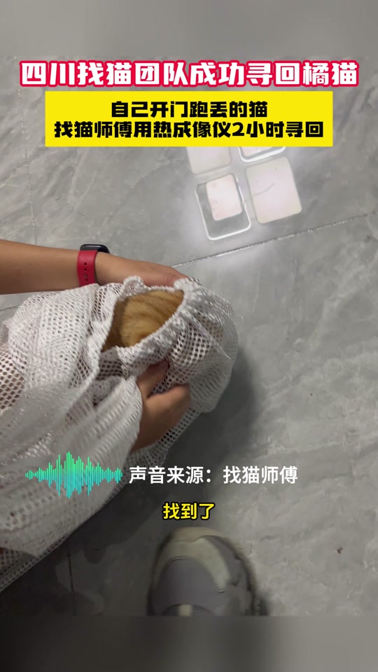 磁力猫破解苹果版(磁力猫破解苹果版ios)-第3张图片-有道翻译官网