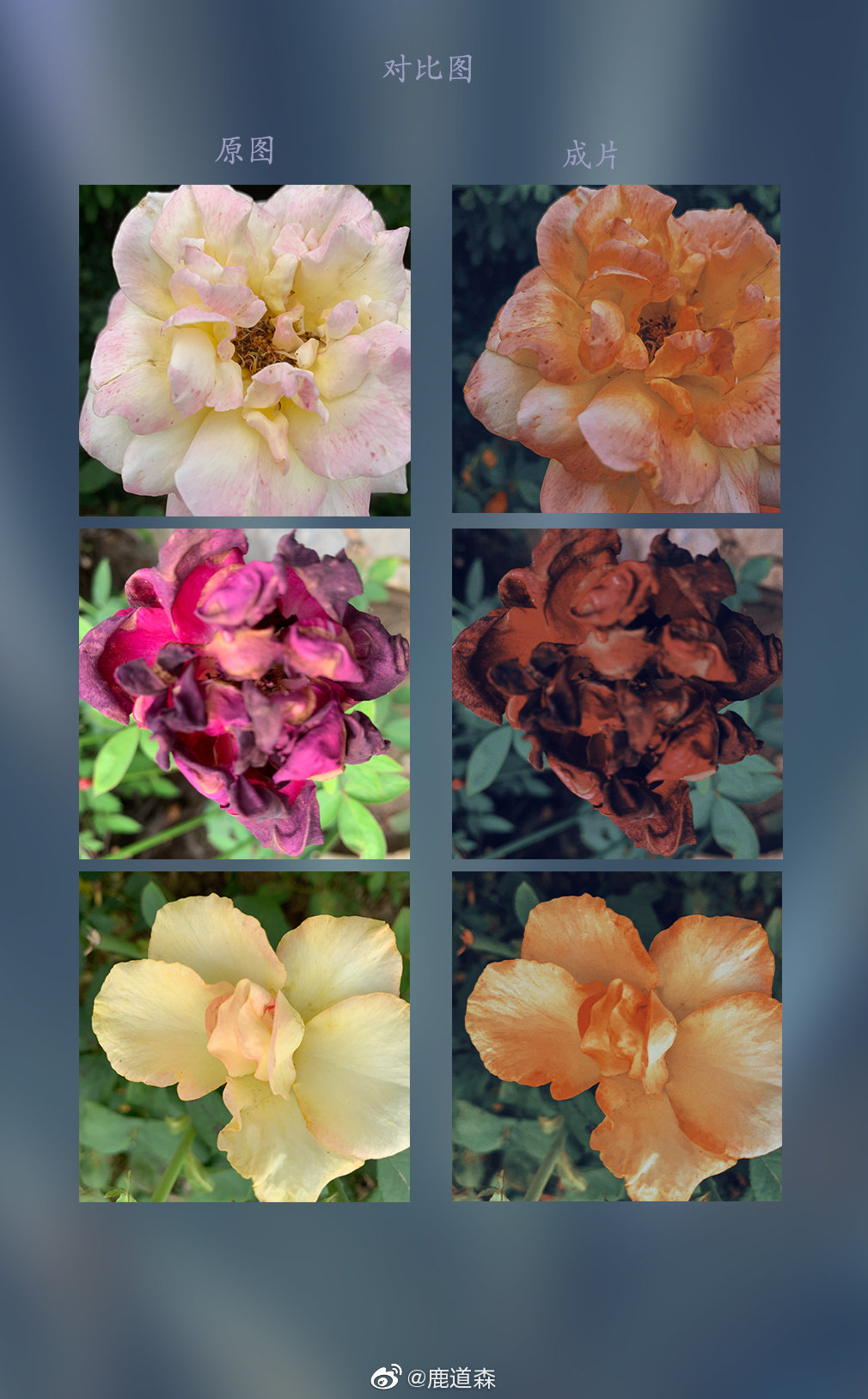 vsco电脑版苹果电脑版下载不了(macbookpro下载vscode)-第8张图片-有道翻译官网