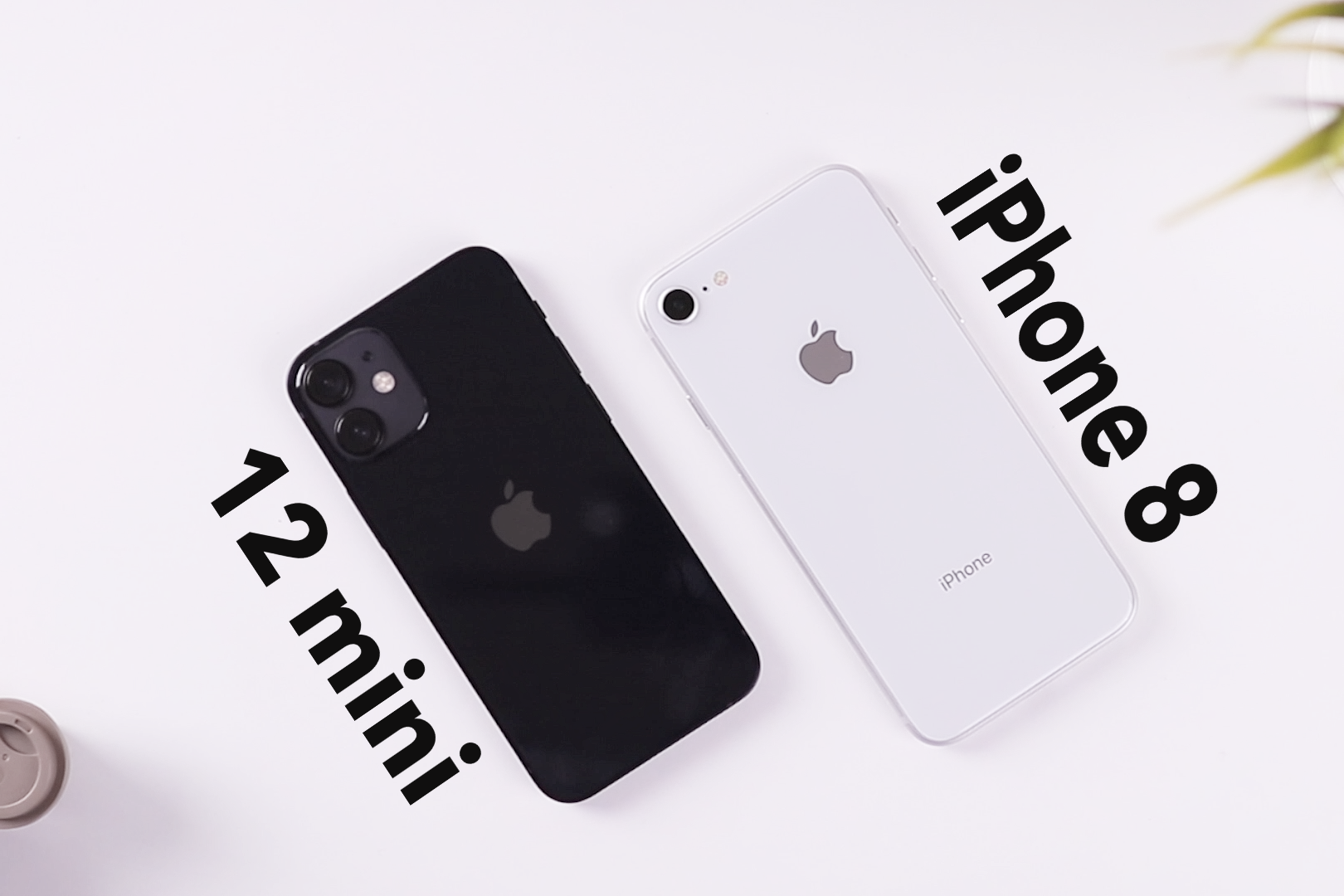 迷你版苹果八(苹果手机迷你版是哪款)-第8张图片-有道翻译官网 迷你版苹果八(苹果手机迷你版是哪款)-第8张图片-有道翻译官网